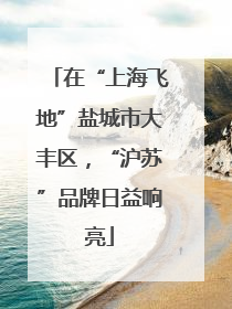 在“上海飞地”盐城市大丰区，“沪苏”品牌日益响亮
