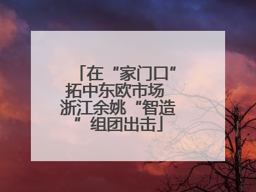 在“家门口”拓中东欧市场 浙江余姚“智造”组团出击