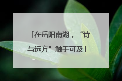 在岳阳南湖，“诗与远方”触手可及