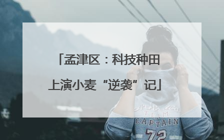 孟津区：科技种田 上演小麦“逆袭”记