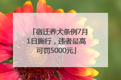 宿迁养犬条例7月1日施行，违者最高可罚5000元