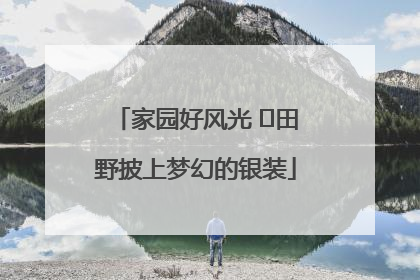 家园好风光 ⎮田野披上梦幻的银装