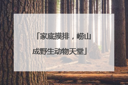 家底摸排，崂山成野生动物天堂