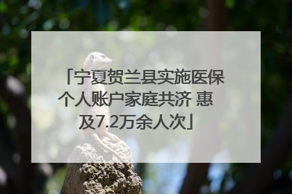 宁夏贺兰县实施医保个人账户家庭共济 惠及7.2万余人次