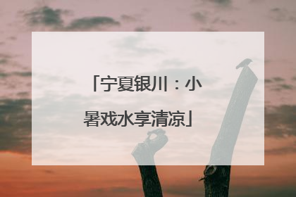 宁夏银川：小暑戏水享清凉