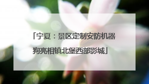 宁夏：景区定制安防机器狗亮相镇北堡西部影城