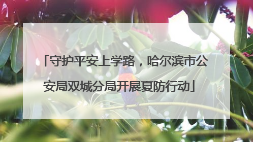 守护平安上学路，哈尔滨市公安局双城分局开展夏防行动
