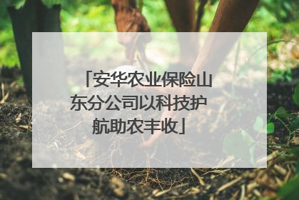 安华农业保险山东分公司以科技护航助农丰收
