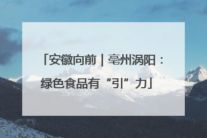 安徽向前｜亳州涡阳：绿色食品有“引”力