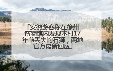 安徽游客称在徐州一博物馆内发现本村17年前丢失的石狮，两地官方最新回应