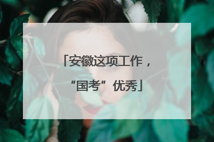安徽这项工作，“国考”优秀