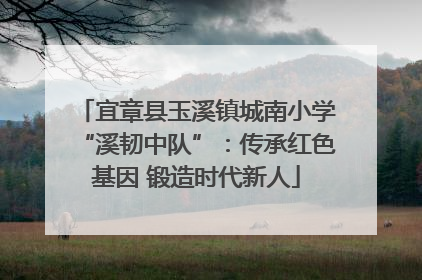 宜章县玉溪镇城南小学“溪韧中队”：传承红色基因 锻造时代新人