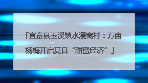 宜章县玉溪镇水浸窝村：万亩杨梅开启夏日“甜蜜经济”