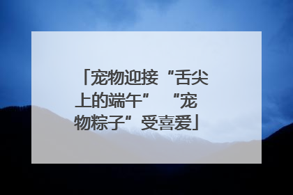 宠物迎接“舌尖上的端午” “宠物粽子”受喜爱
