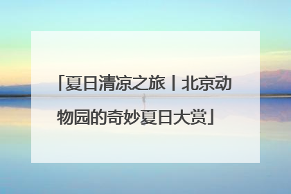 夏日清凉之旅丨北京动物园的奇妙夏日大赏