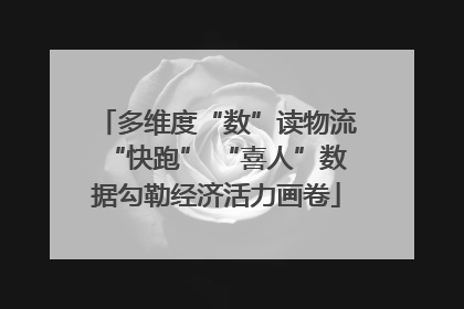 多维度“数”读物流“快跑” “喜人”数据勾勒经济活力画卷