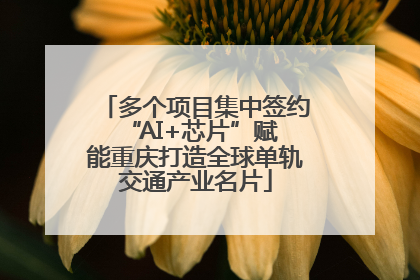 多个项目集中签约 “AI+芯片”赋能重庆打造全球单轨交通产业名片