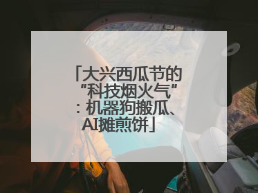 大兴西瓜节的“科技烟火气”：机器狗搬瓜、AI摊煎饼