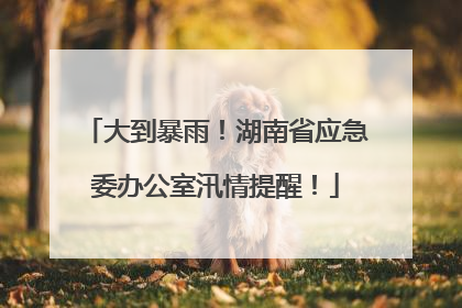 大到暴雨！湖南省应急委办公室汛情提醒！