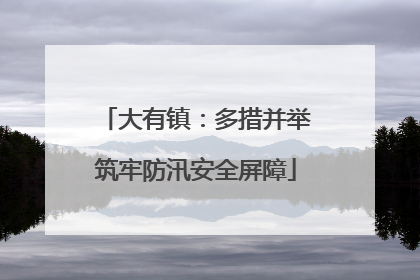 大有镇：多措并举筑牢防汛安全屏障