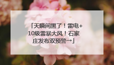 天瞬间黑了！雷电+10级雷暴大风！石家庄发布双预警→