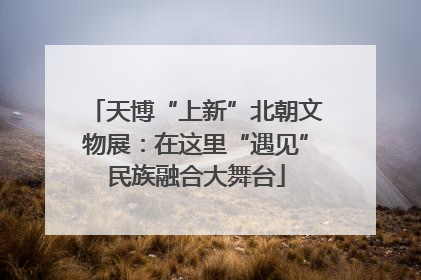 天博“上新”北朝文物展：在这里“遇见”民族融合大舞台