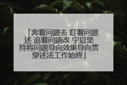 奔着问题去 盯着问题述 追着问题改 宁夏坚持将问题导向效果导向贯穿述法工作始终