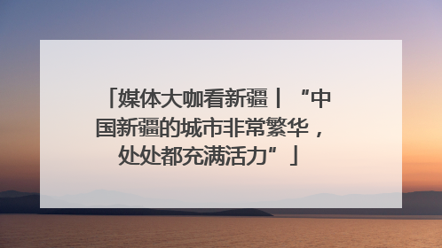 媒体大咖看新疆丨“中国新疆的城市非常繁华，处处都充满活力”