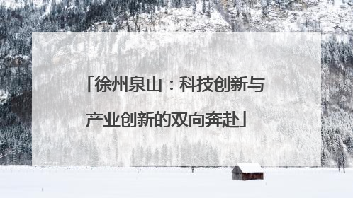 徐州泉山：科技创新与产业创新的双向奔赴