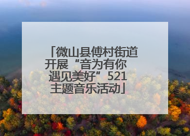 微山县傅村街道开展“音为有你 遇见美好”521主题音乐活动