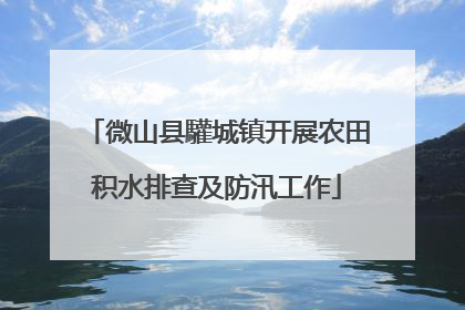 微山县驩城镇开展农田积水排查及防汛工作