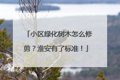 小区绿化树木怎么修剪？淮安有了标准！