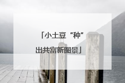 小土豆“种”出共富新图景