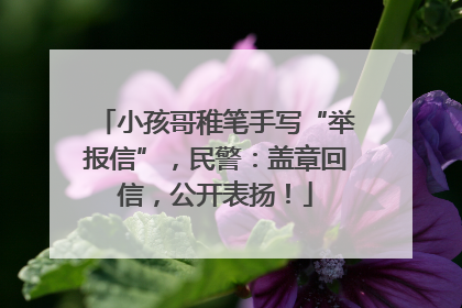 小孩哥稚笔手写“举报信”，民警：盖章回信，公开表扬！