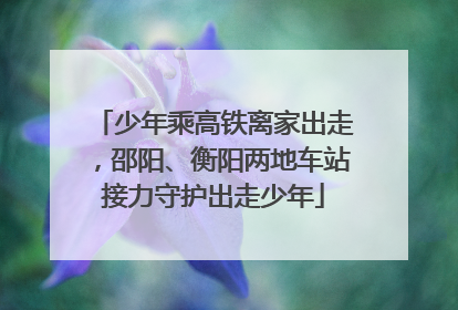 少年乘高铁离家出走，邵阳、衡阳两地车站接力守护出走少年