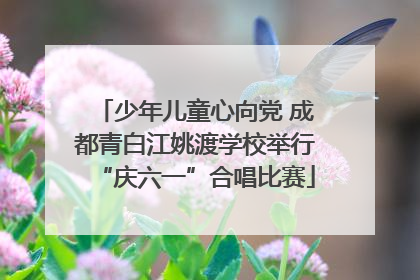 少年儿童心向党 成都青白江姚渡学校举行“庆六一”合唱比赛