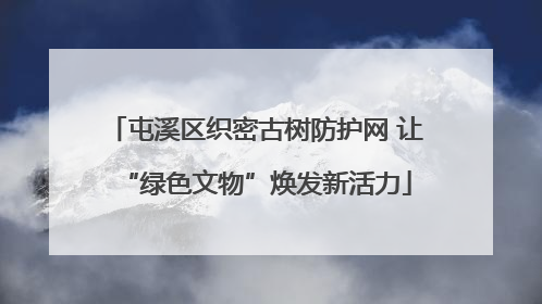 屯溪区织密古树防护网 让“绿色文物”焕发新活力