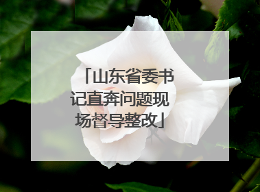 山东省委书记直奔问题现场督导整改