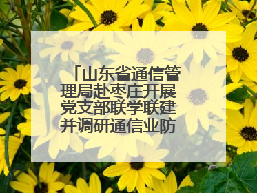 山东省通信管理局赴枣庄开展党支部联学联建并调研通信业防汛准备工作