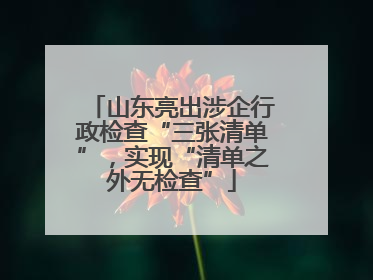 山东亮出涉企行政检查“三张清单”，实现“清单之外无检查”