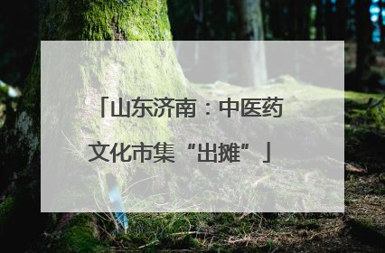 山东济南：中医药文化市集“出摊”