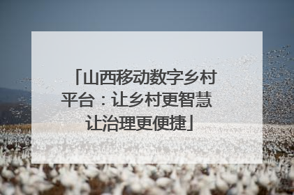 山西移动数字乡村平台：让乡村更智慧 让治理更便捷