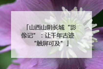 山西山阴长城“影像记”：让千年古迹“触屏可及”
