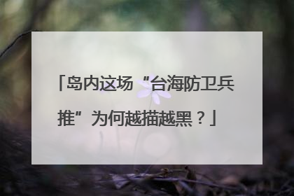 岛内这场“台海防卫兵推”为何越描越黑？