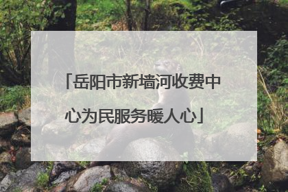岳阳市新墙河收费中心为民服务暖人心