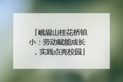 峨眉山桂花桥镇小：劳动赋能成长，实践点亮校园