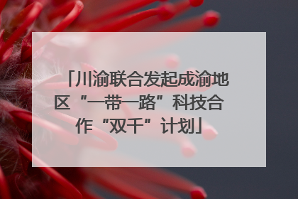 川渝联合发起成渝地区“一带一路”科技合作“双千”计划