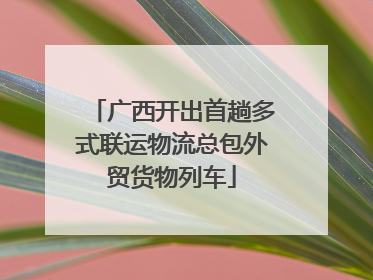 广西开出首趟多式联运物流总包外贸货物列车