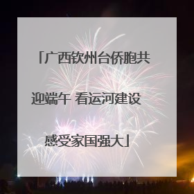 广西钦州台侨胞共迎端午 看运河建设感受家国强大