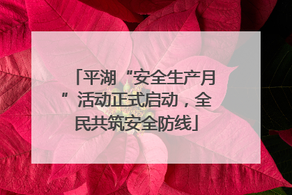 平湖“安全生产月”活动正式启动，全民共筑安全防线